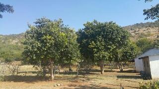 Commercial Property for Sale in Boekenhoutfontein A H North West